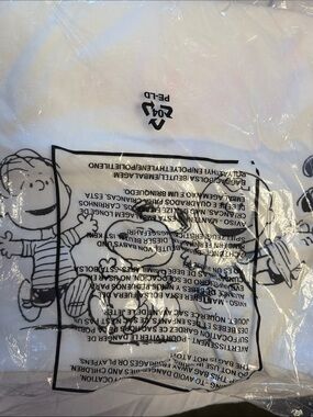 RARE VINTAGE DEADSTOCK-YOUTH LARGE PEANUTS GANG “COLOR YOUR OWN TEE”  KIT-SEALED